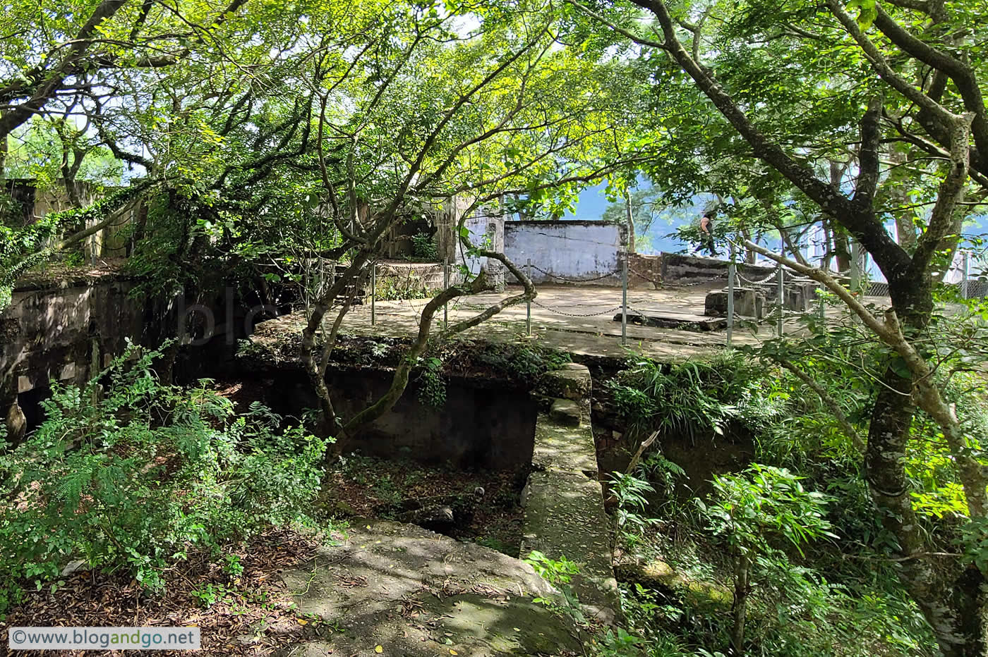 Devil's Peak - Gough Battery